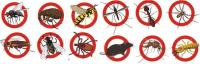 Lance Termite & Pest Control image 1